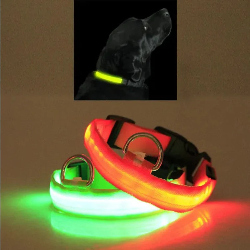 Light Up Your Pet's Night with Our LED Collar! 🌟🐾