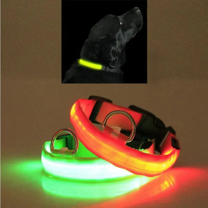 Light Up Your Pet's Night with Our LED Collar! 🌟🐾