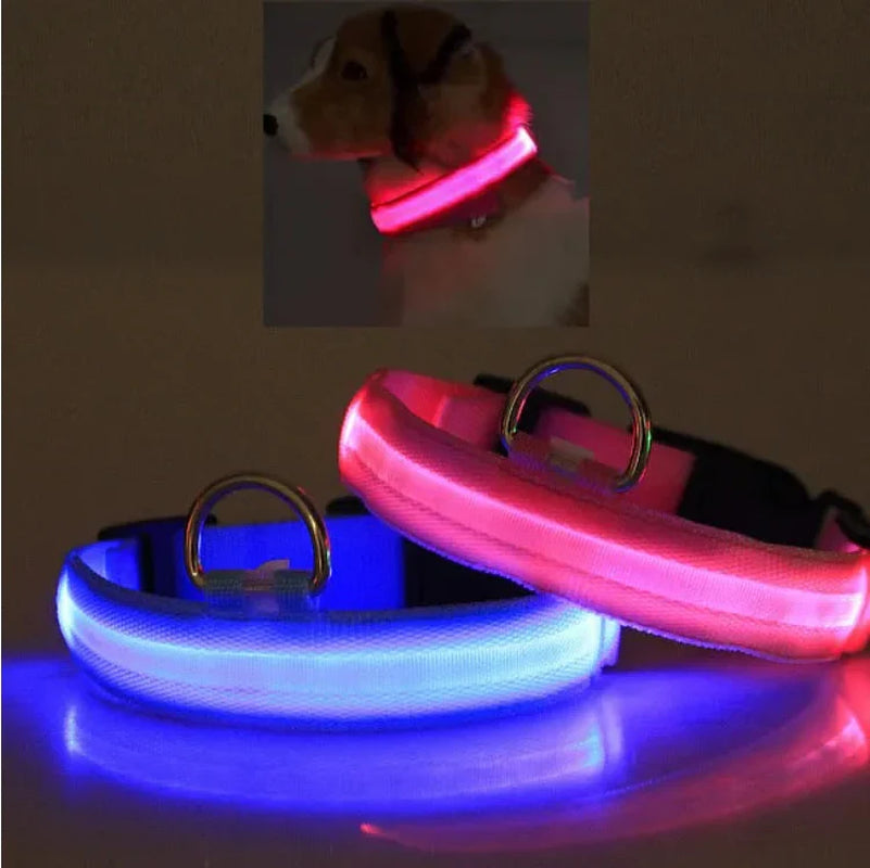 Light Up Your Pet's Night with Our LED Collar! 🌟🐾