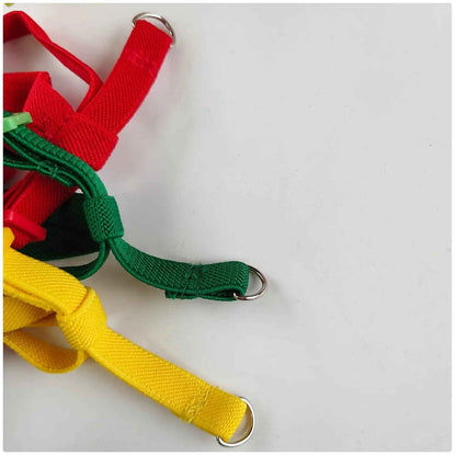 Take Your Feathered Friend for a Stroll! 🦜✨ Adjustable & Safe Parrot Harness with Leash!