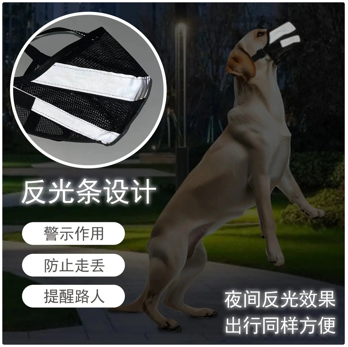 Say goodbye to biting with our Reflective Mesh Dog Muzzle! 🐶✨ Breathable & adjustable for your furry friend’s comfort! #DogSafety #PetLove