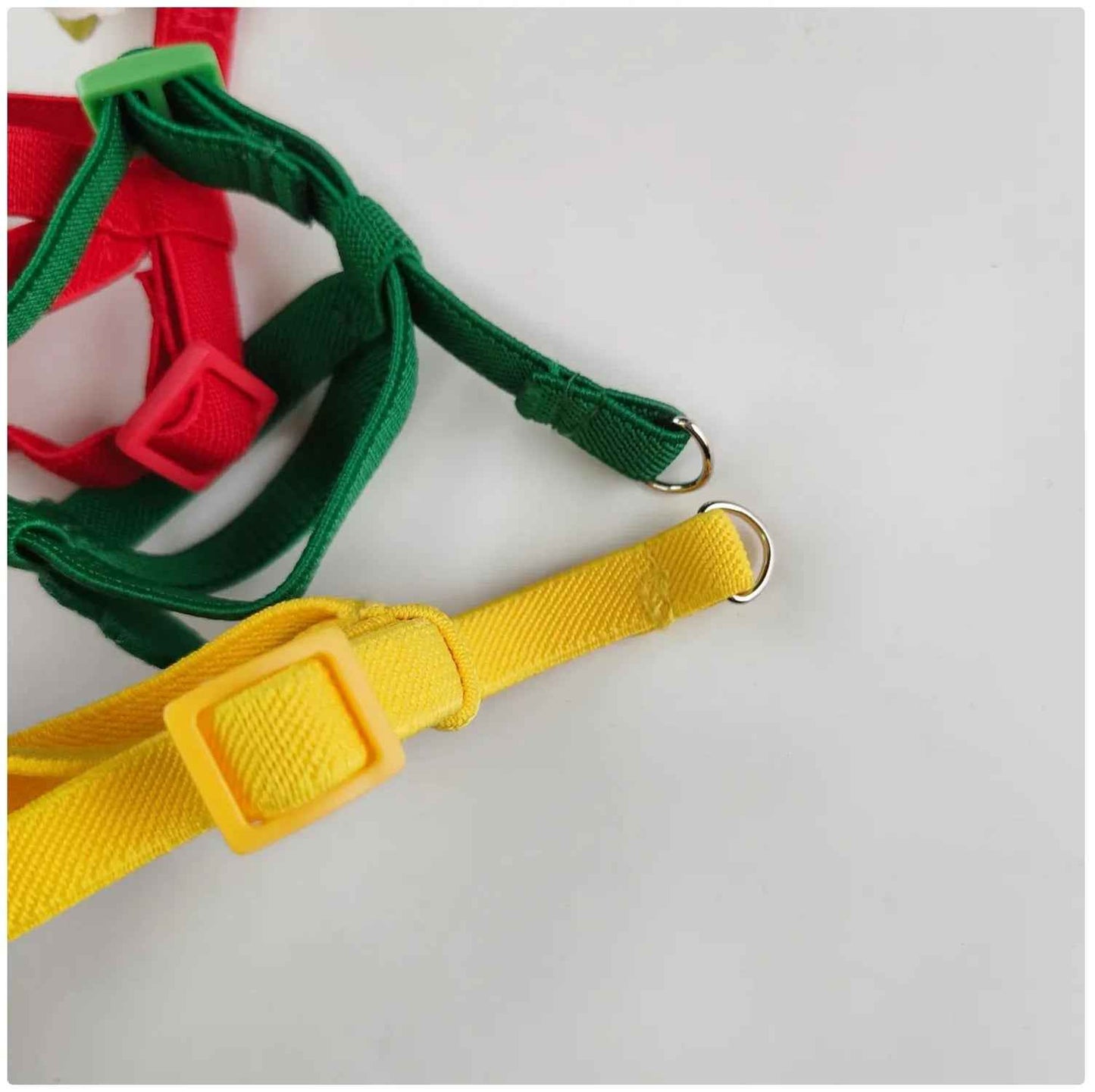 Take Your Feathered Friend for a Stroll! 🦜✨ Adjustable & Safe Parrot Harness with Leash!