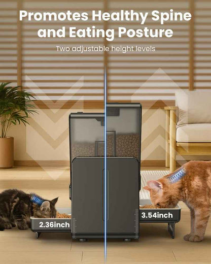 Cityflee Automatic Cat Feeder for Two Cats, 5G/2.4Ghz Wifi Connection, Adjustable Bowl Height to Protect Pet Spine, 20 Cups/5L for Small Pets Indoor, Supports Timed and Voice Call