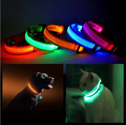 Light Up Your Pet's Night with Our LED Collar! 🌟🐾