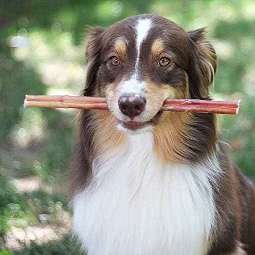 Brazilian Grass-Fed Beef Bully Sticks
