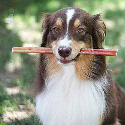 Brazilian Grass-Fed Beef Bully Sticks