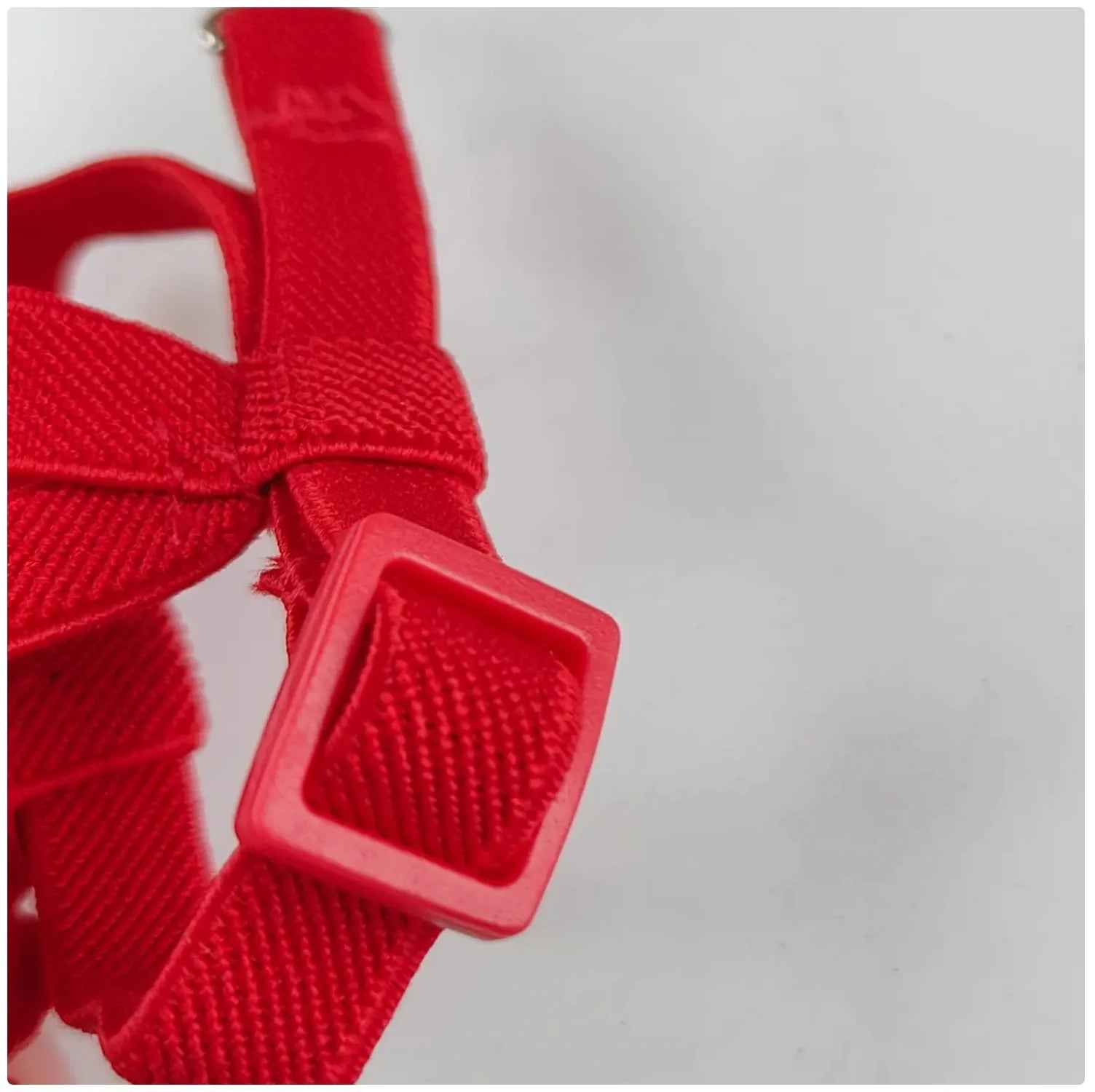 Take Your Feathered Friend for a Stroll! 🦜✨ Adjustable & Safe Parrot Harness with Leash!