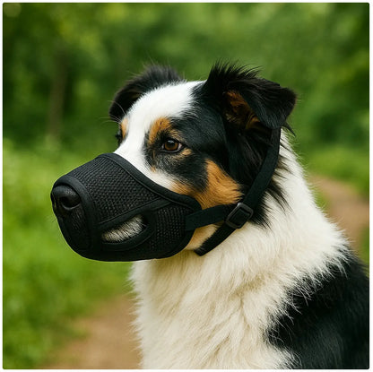 Keep Your Pup Safe and Comfortable with Our Breathable Mesh Dog Muzzle - Perfect for Training and Outings!