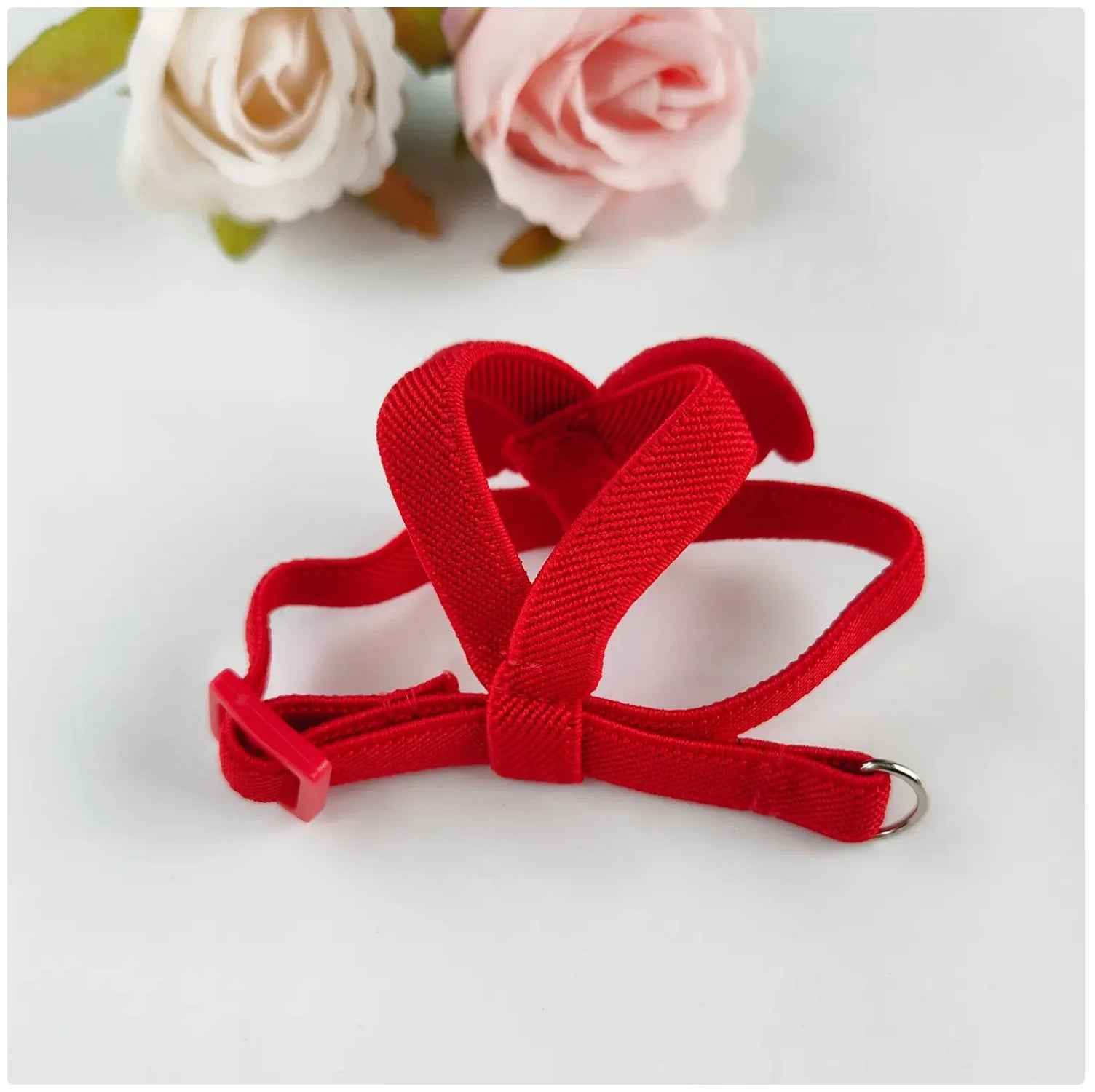 Take Your Feathered Friend for a Stroll! 🦜✨ Adjustable & Safe Parrot Harness with Leash!