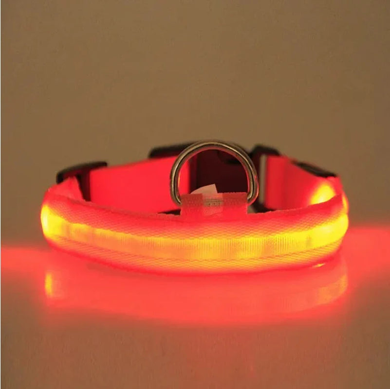 Light Up Your Pet's Night with Our LED Collar! 🌟🐾