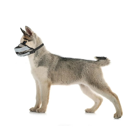 Say goodbye to biting with our Reflective Mesh Dog Muzzle! 🐶✨ Breathable & adjustable for your furry friend’s comfort! #DogSafety #PetLove