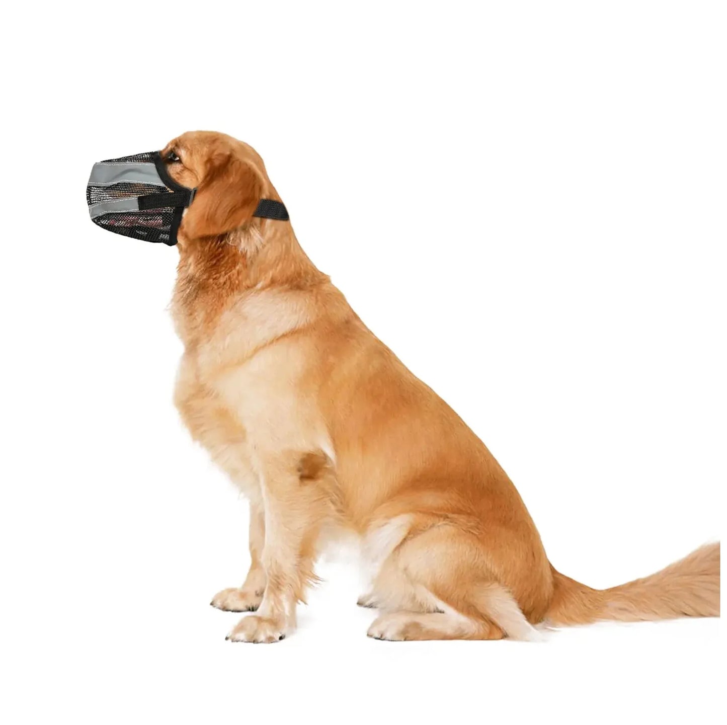 Say goodbye to biting with our Reflective Mesh Dog Muzzle! 🐶✨ Breathable & adjustable for your furry friend’s comfort! #DogSafety #PetLove