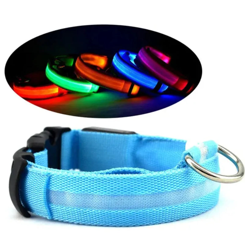 Light Up Your Pet's Night with Our LED Collar! 🌟🐾