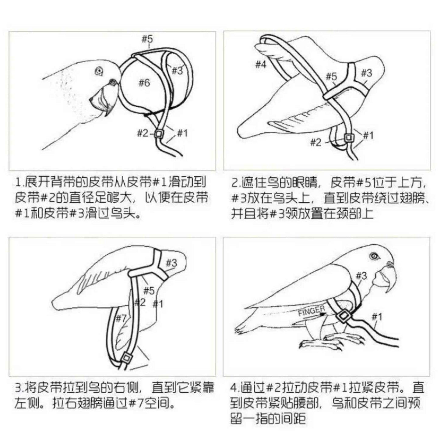 Take Your Feathered Friend for a Stroll! 🦜✨ Adjustable & Safe Parrot Harness with Leash!