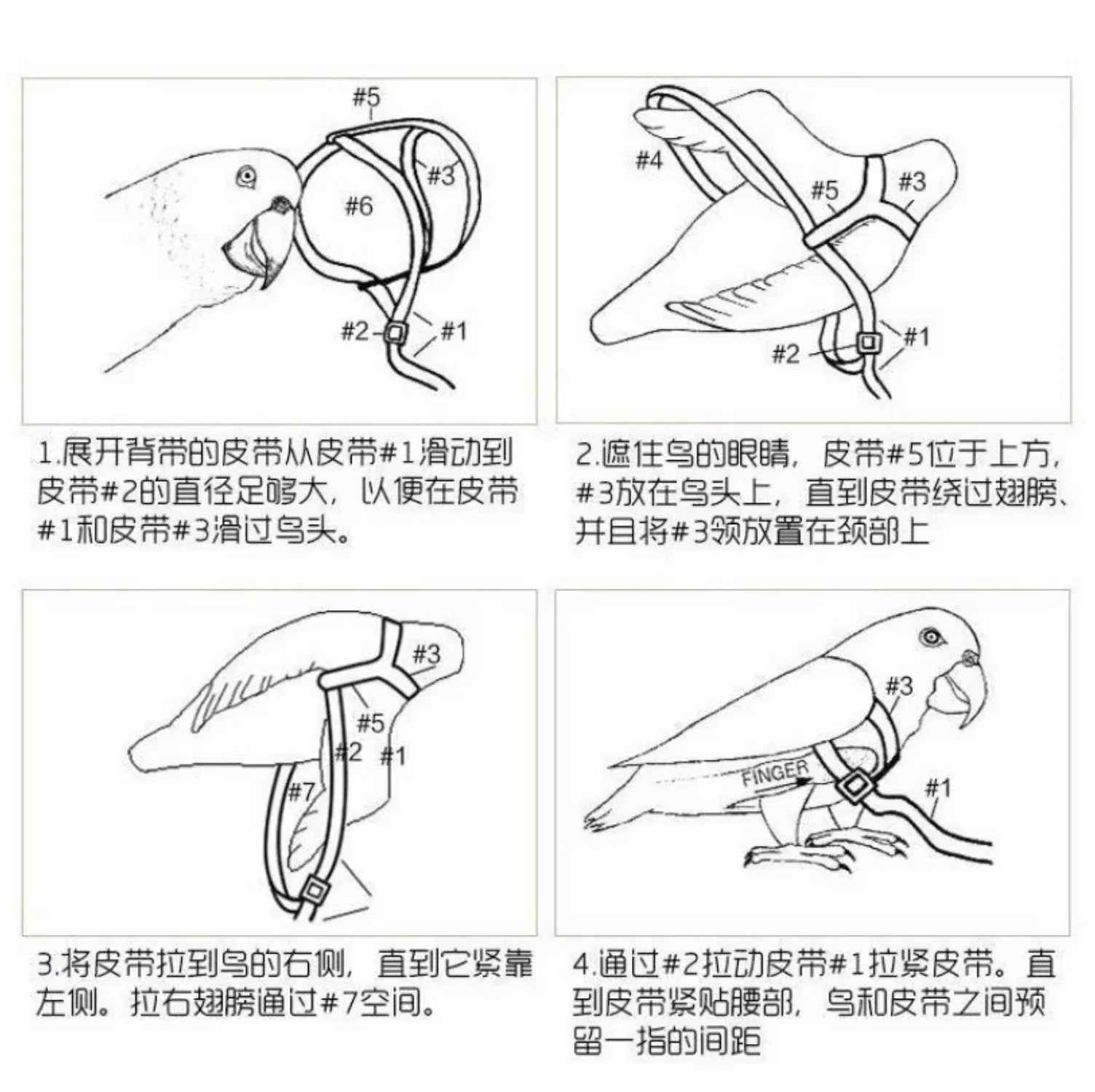 Take Your Feathered Friend for a Stroll! 🦜✨ Adjustable & Safe Parrot Harness with Leash!