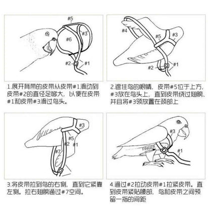 Take Your Feathered Friend for a Stroll! 🦜✨ Adjustable & Safe Parrot Harness with Leash!