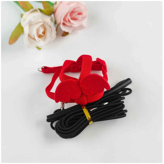 Take Your Feathered Friend for a Stroll! 🦜✨ Adjustable & Safe Parrot Harness with Leash!