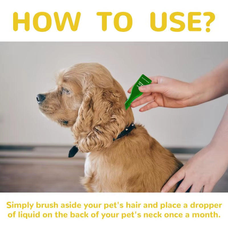 Dogs for Cat Flea and Tick Treatment for Small Medium Large Dogs Cats Topical Flea Treatments Pets Cleaning Care Supplie