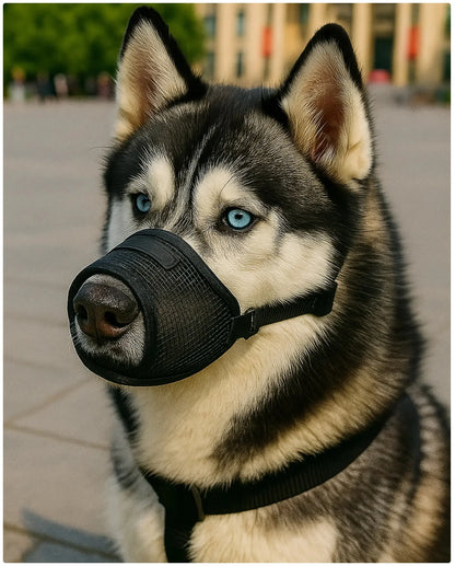 Keep Your Pup Safe & Stylish with Our Breathable Mesh Dog Muzzle! 🐾✨