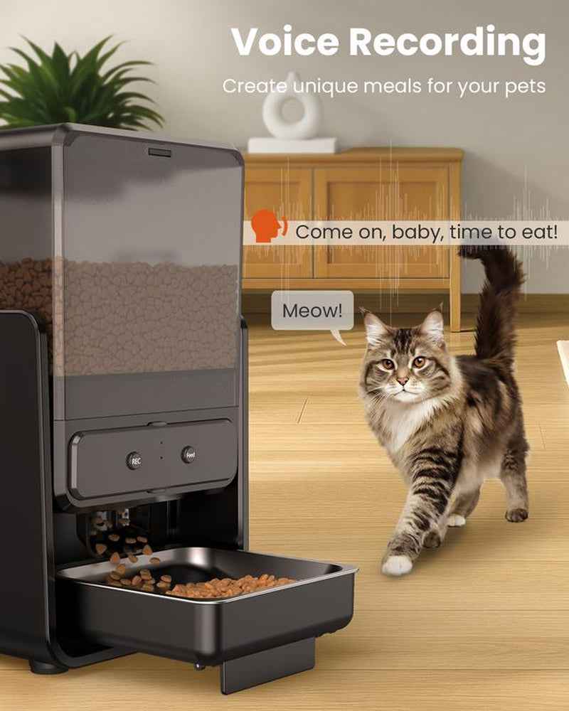 Cityflee Automatic Cat Feeder for Two Cats, 5G/2.4Ghz Wifi Connection, Adjustable Bowl Height to Protect Pet Spine, 20 Cups/5L for Small Pets Indoor, Supports Timed and Voice Call