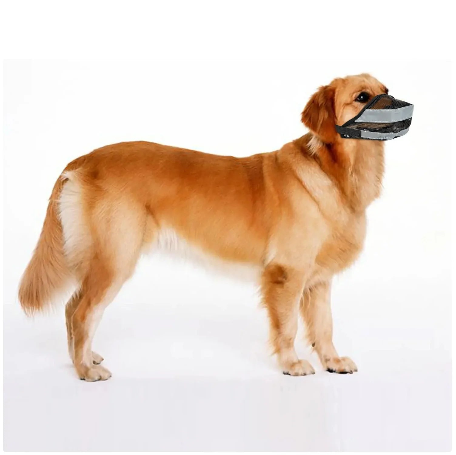 Say goodbye to biting with our Reflective Mesh Dog Muzzle! 🐶✨ Breathable & adjustable for your furry friend’s comfort! #DogSafety #PetLove