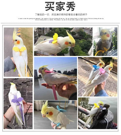 Take Your Feathered Friend for a Stroll! 🦜✨ Adjustable & Safe Parrot Harness with Leash!