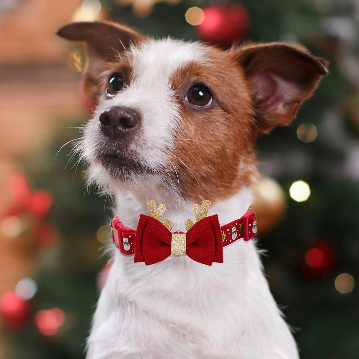 Get Your Pup Festive with Our Adjustable Christmas Dog Collar - Complete with Adorable Antler Bow Tie and Snowman Design! Perfect for Medium Dogs! 🎄🐾