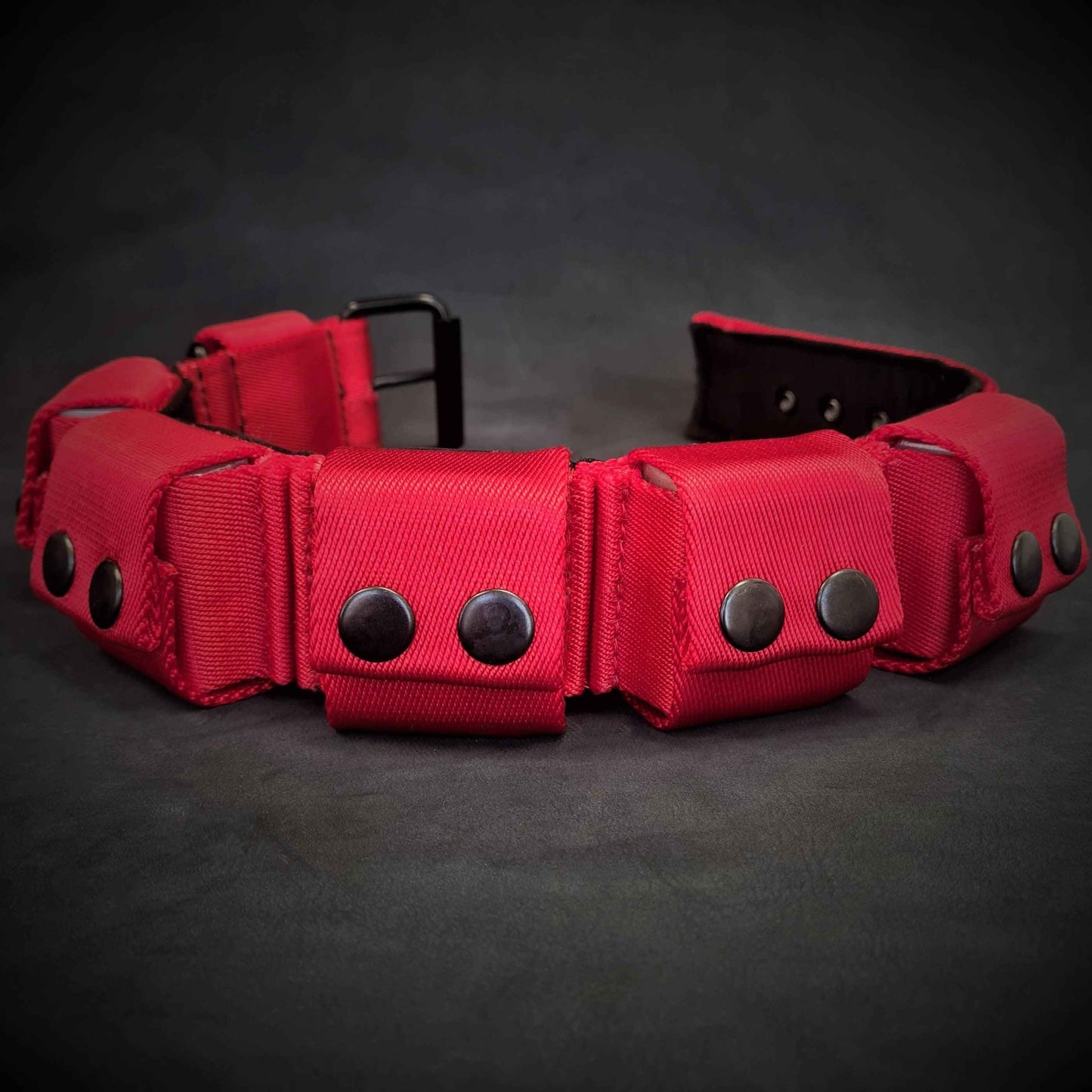Weighted dog training collar- Red. Large breeds. 5 lbs total. removable weights