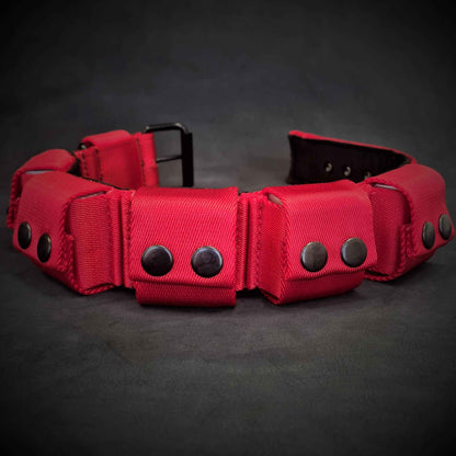 Weighted dog training collar- Red. Large breeds. 5 lbs total. removable weights